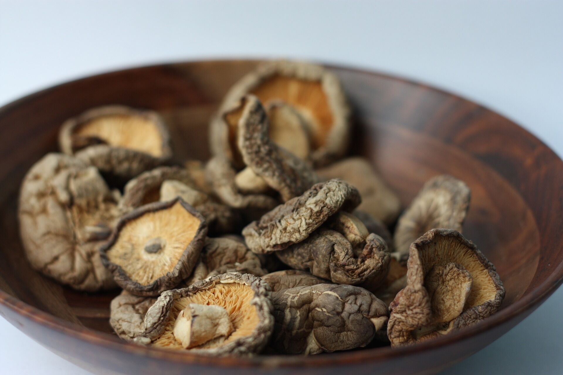 shiitake-g89babec74_1920